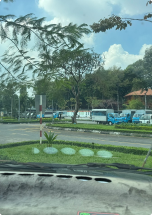 Hạng B số tự động